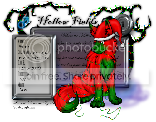 User Image
